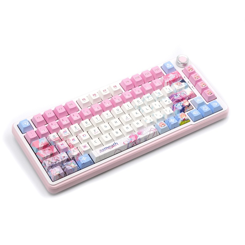 120 Tuşlu Aemeath Keycaps Seti - Gaming Keyboard Theme incelemesi ve fiyatı